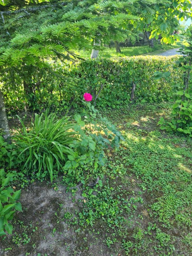 Holiday Home Hizica V Plavem Trnacu Gornja Stubica Exteriör bild