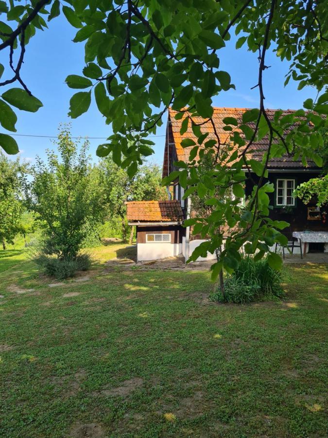 Holiday Home Hizica V Plavem Trnacu Gornja Stubica Exteriör bild