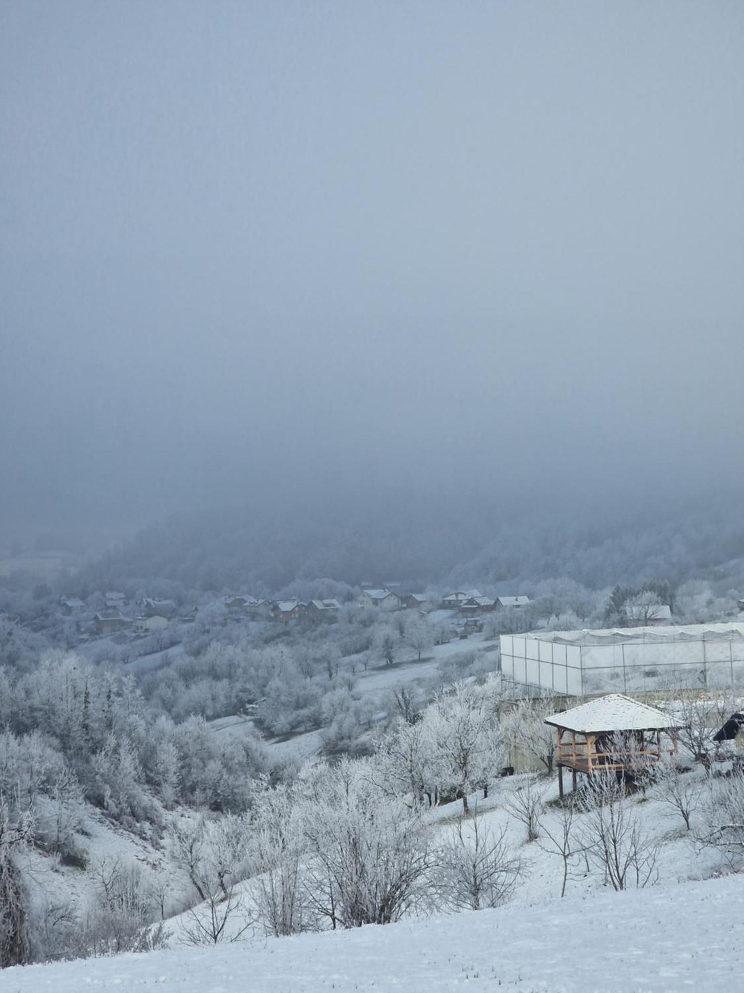Holiday Home Hizica V Plavem Trnacu Gornja Stubica Exteriör bild