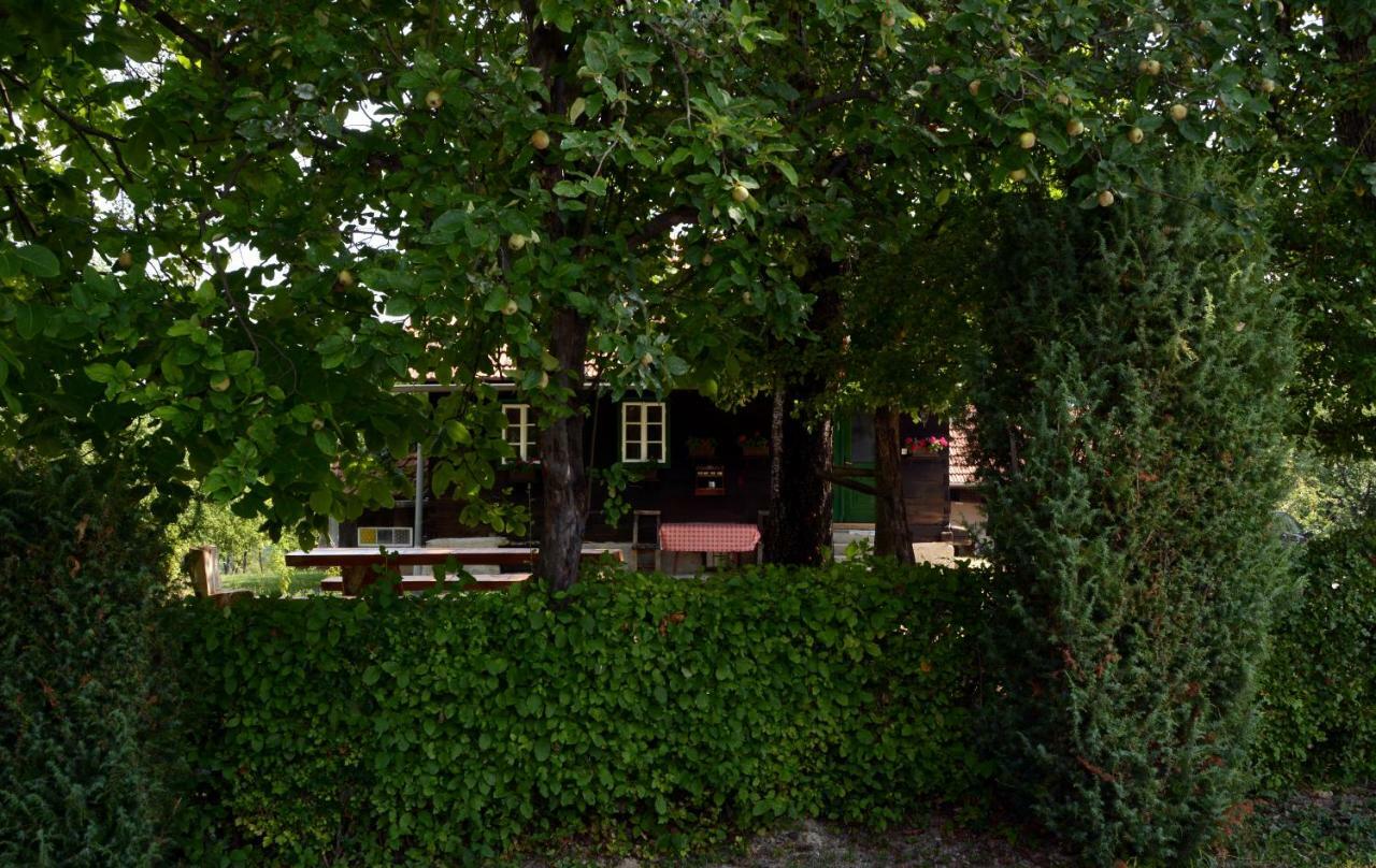 Holiday Home Hizica V Plavem Trnacu Gornja Stubica Exteriör bild