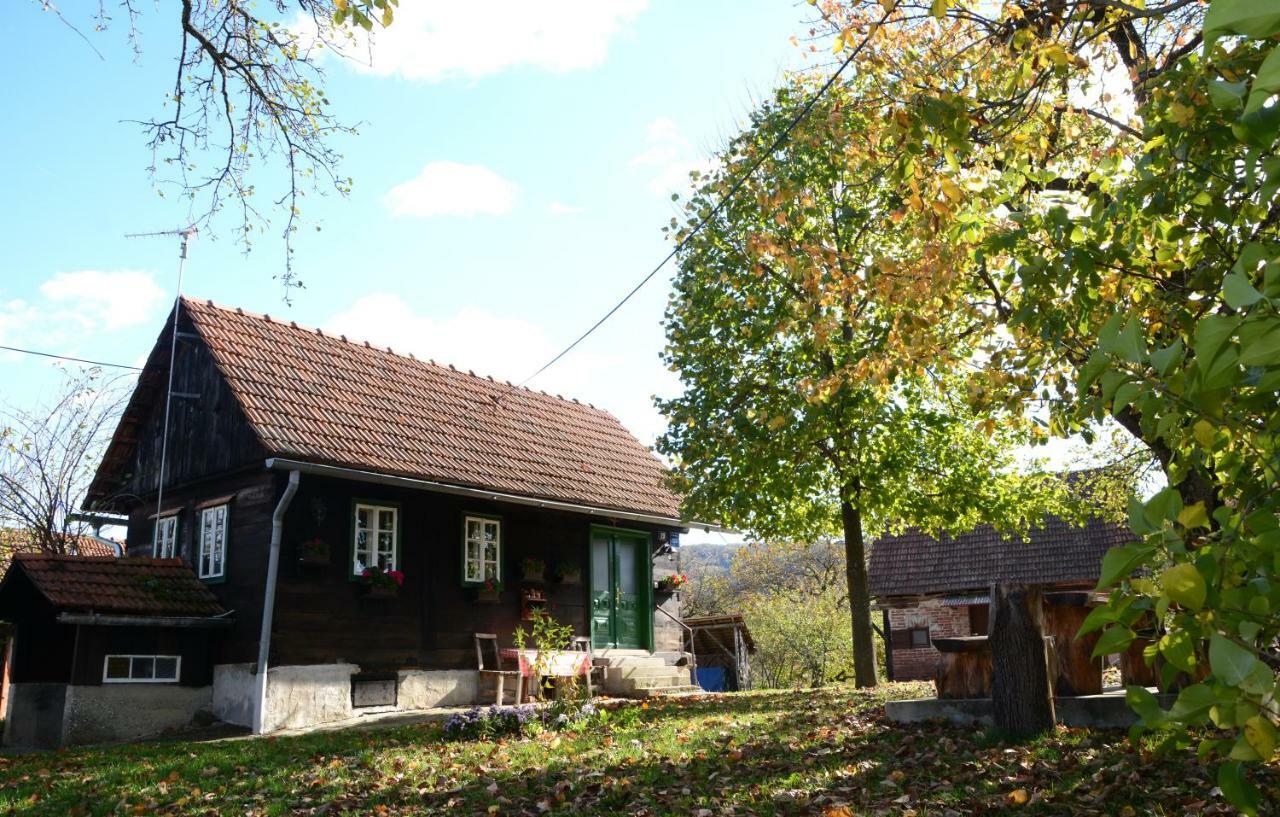 Holiday Home Hizica V Plavem Trnacu Gornja Stubica Exteriör bild