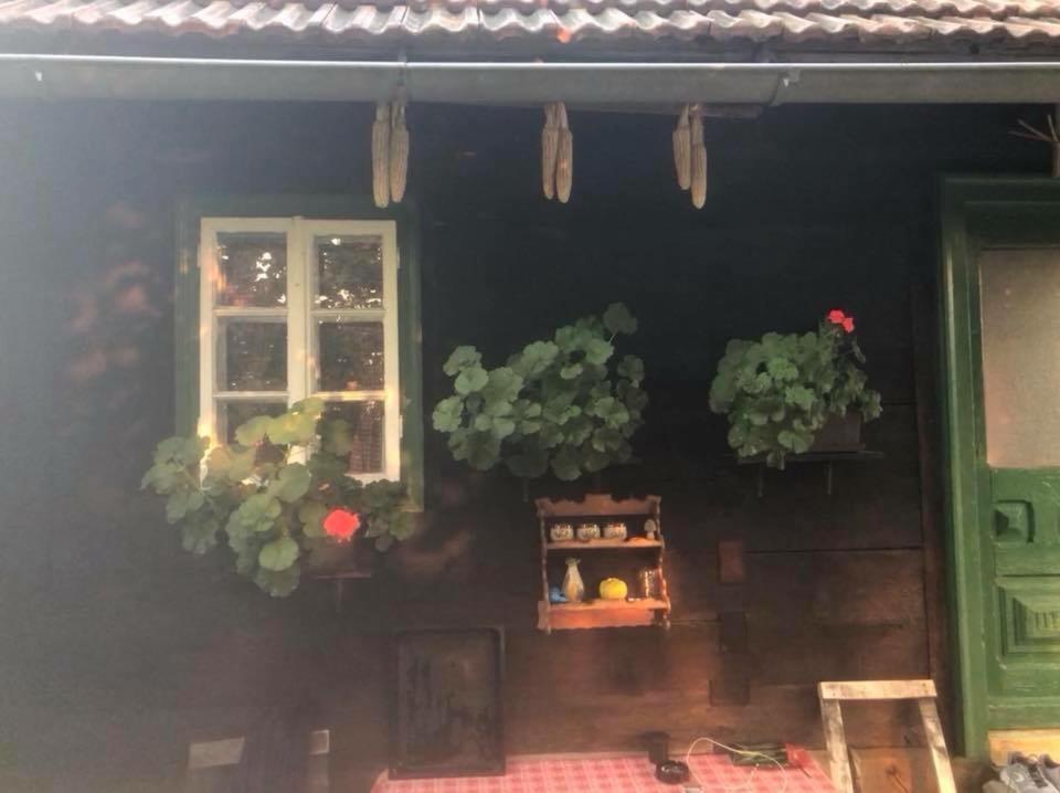 Holiday Home Hizica V Plavem Trnacu Gornja Stubica Exteriör bild